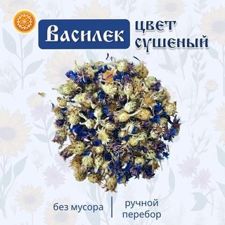 Василек цвет.