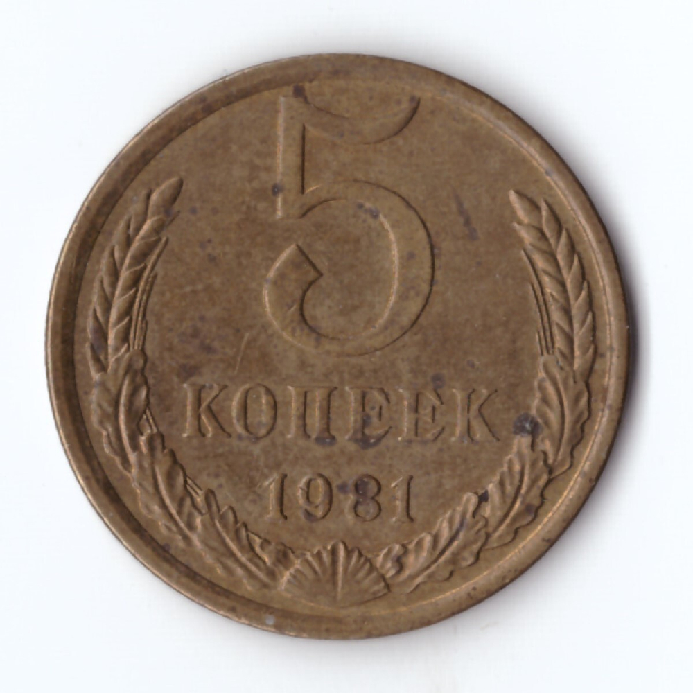 5 копеек 1981 год VF