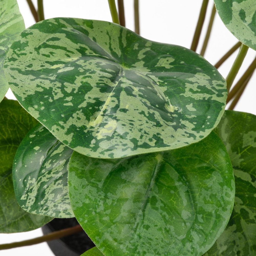 IKEA FEJKA  (ИКЕА ФЕЙКА)  -  Искусственное растение в горшке - для дома/улицы Pilea 9 см