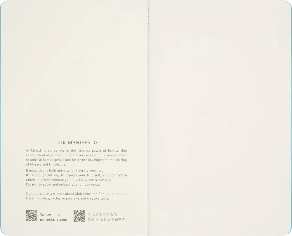 Блокнот Moleskine LE CAHIER MUSEE D`ORSAY Large (SKCAHL6911S3NL) 9