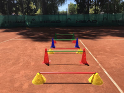 Kijki Pro's Pro Hurdle Pole 80 cm - красный