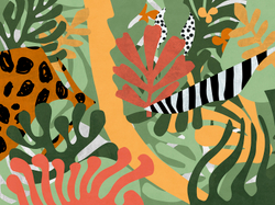 MATISSE 14