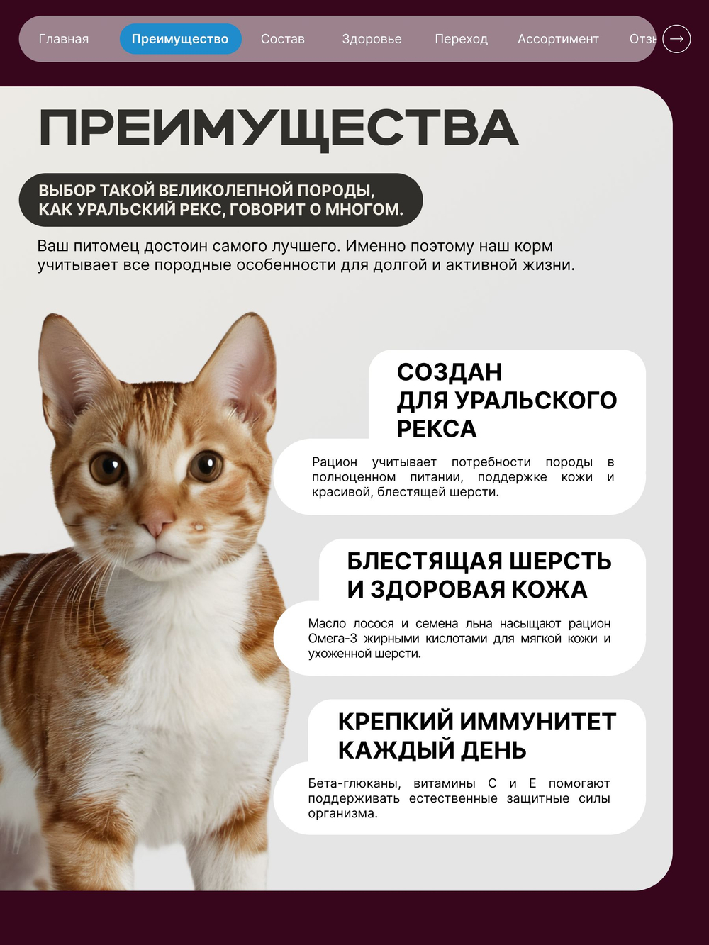 Корм сухой для взрослых кошек породы Уральский рекс, с лососем, 2 кг, QUATTRO