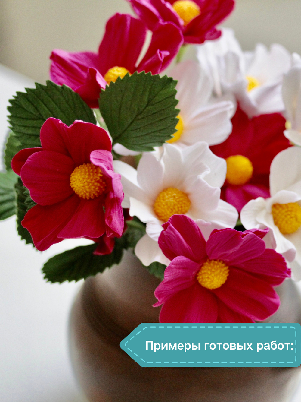 Вайнер  лепесток Космеи, Георгина, Циннии