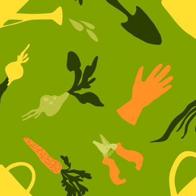 Зелёный летний сад/Green garden