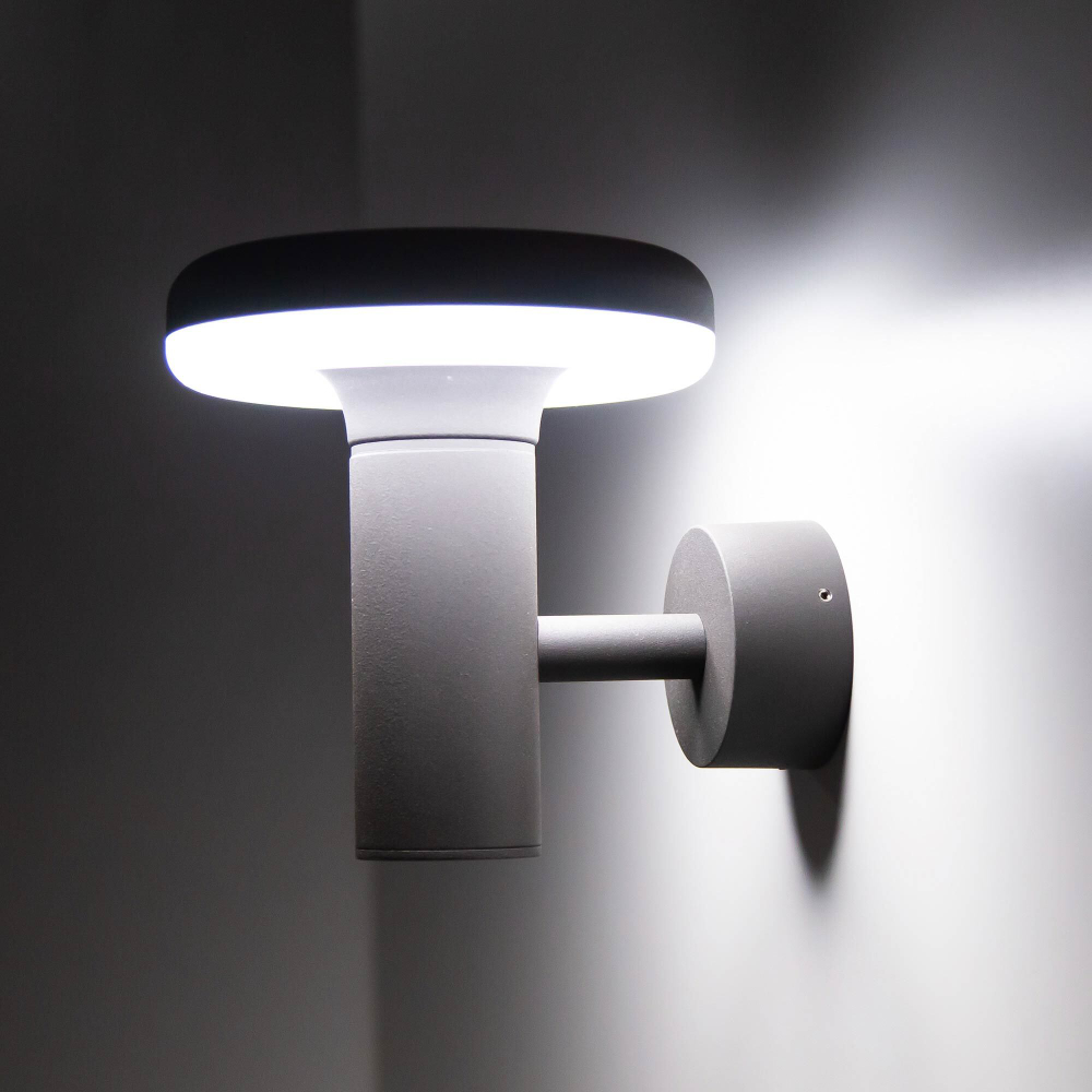Citilux GARDA CLU01W LED Уличный настенный светильник Графит