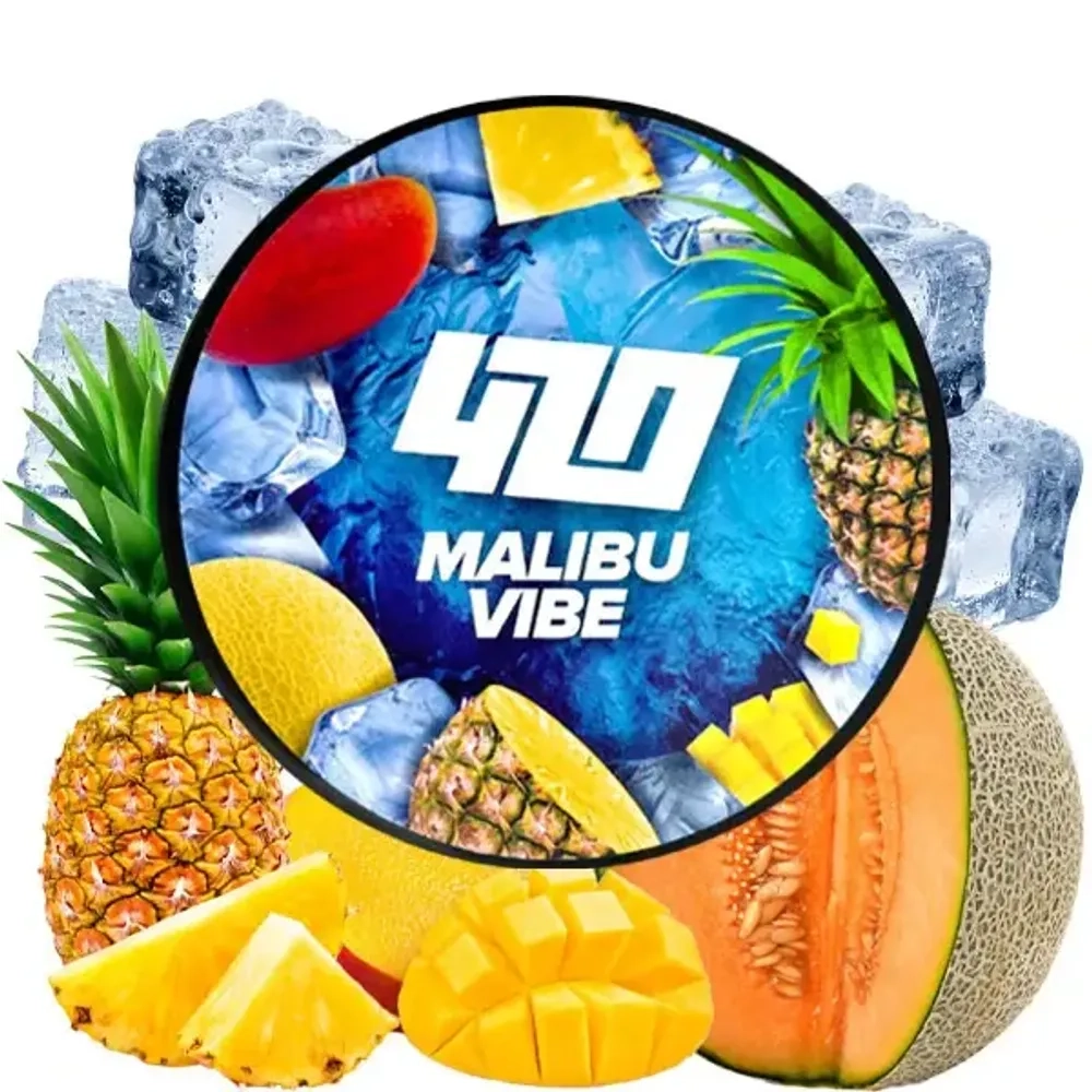 420 Dark Frost Line – Malibu Vibe / Ананас Диня Манго (250г)