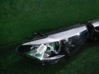 DSCN9778.JPG
