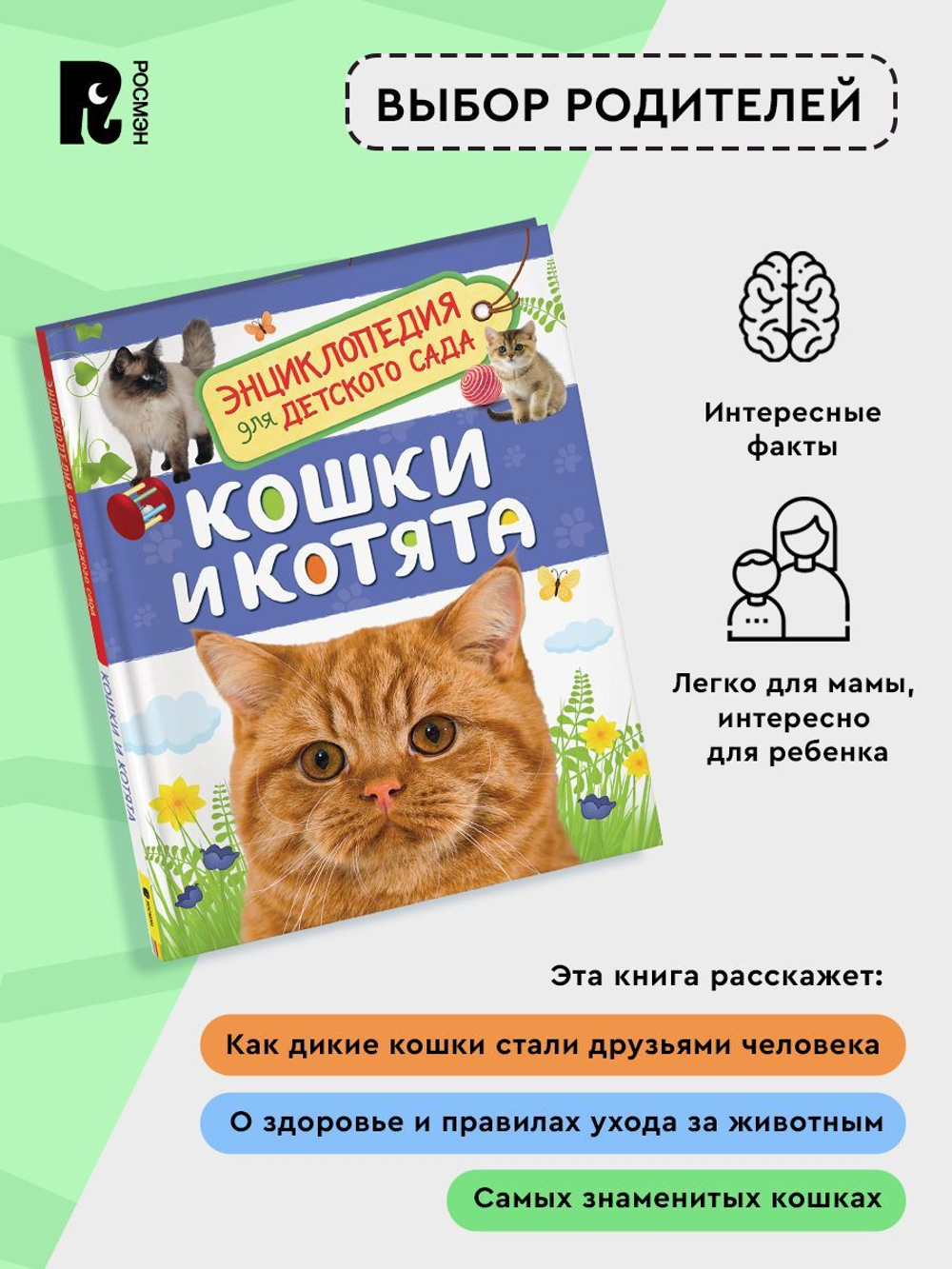 Кошки и котята (Энциклопедия для детского сада)