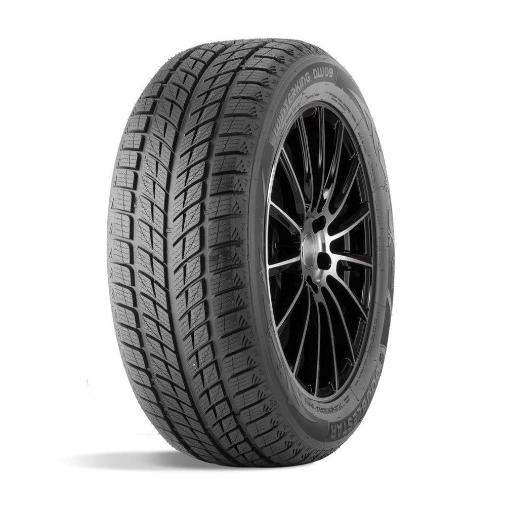 Зимняя шина DoubleStar DW09 (235/55 R20 102H)