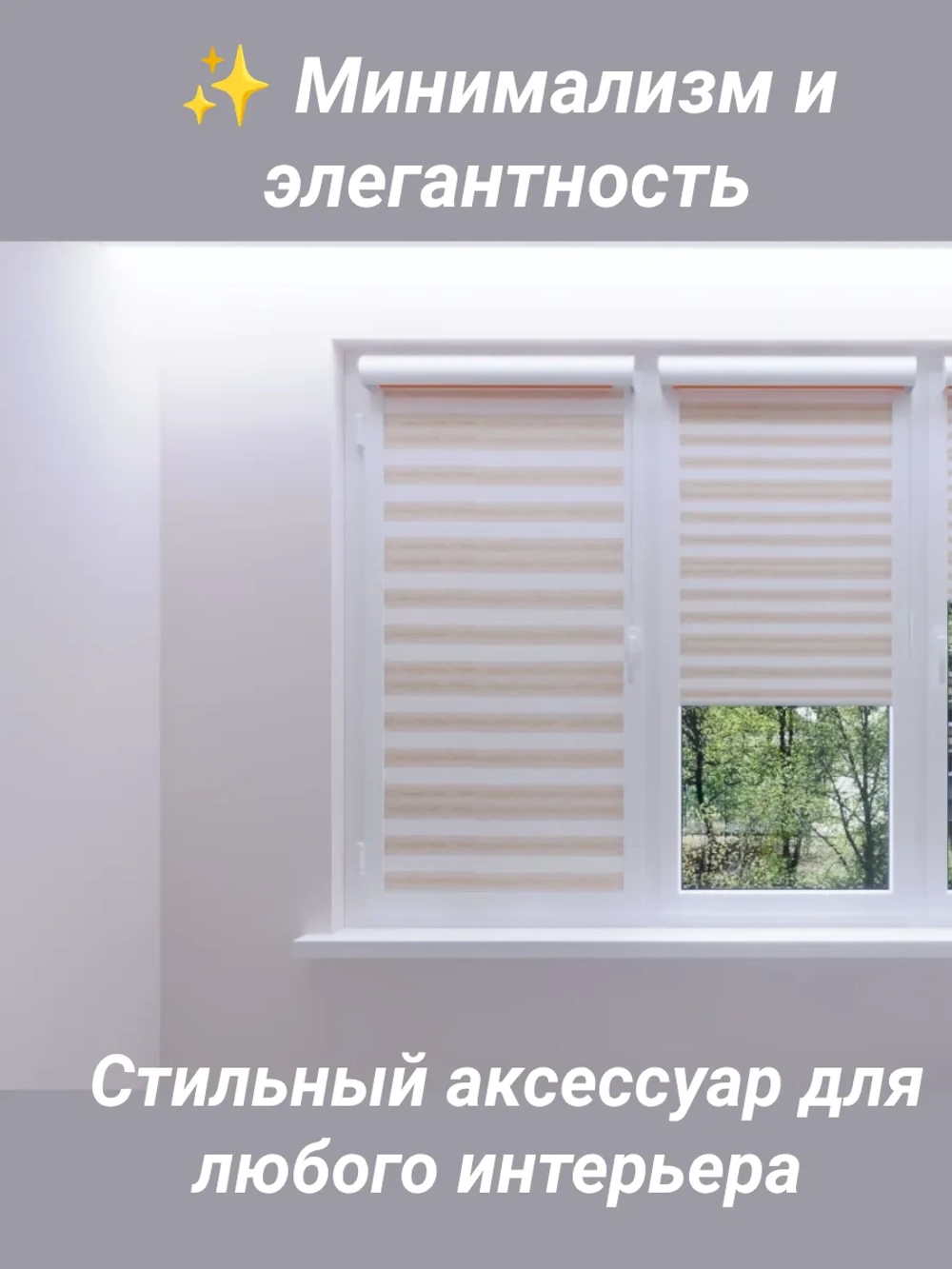 Рулонные шторы День-Ночь 55х140 см