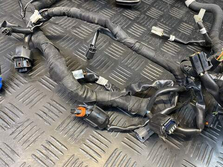 Коса электропроводки KTM 250 Duke 2020