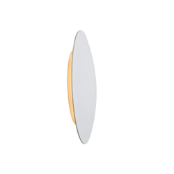 Светильник настенный ST Luce Aureo SL457.511.01