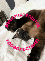 Набор наволочек Сатин-страйп 50х70