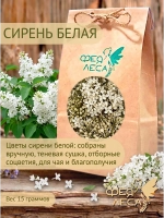 Сирень белая соцветия для настоев и настоек