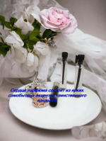 Парфюмерная вода женская СвеТLана Mr. Newl C&M068-13 1.7 ml