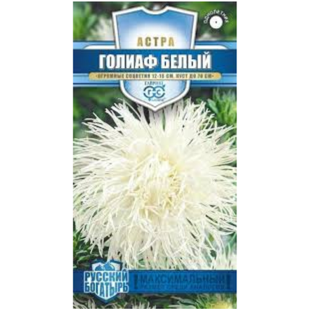 Семена Астра Голиаф белый Русский Богатырь