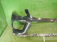 DSCN7841.JPG