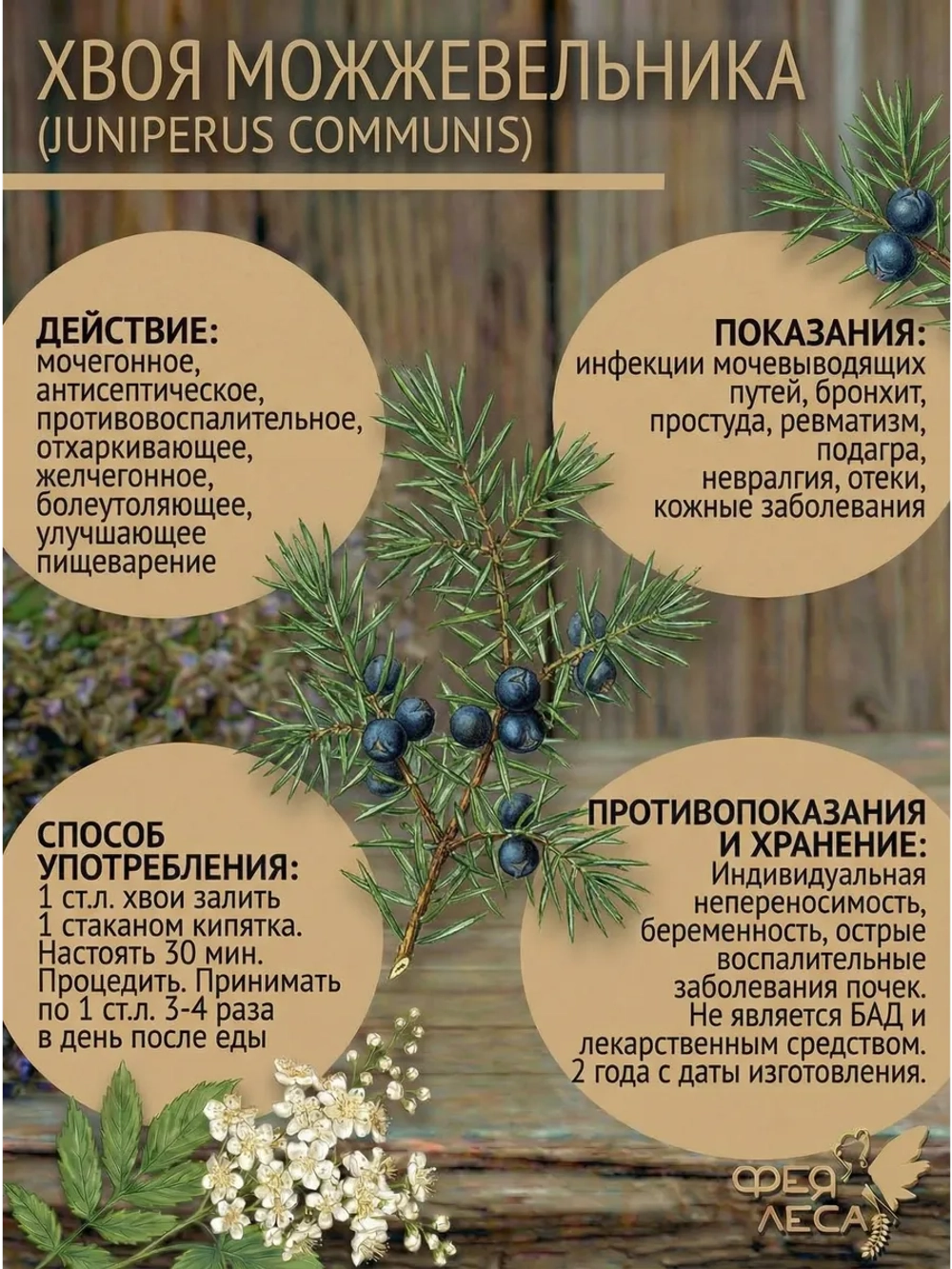Хвоя можжевельника для для бани, магии и творчества