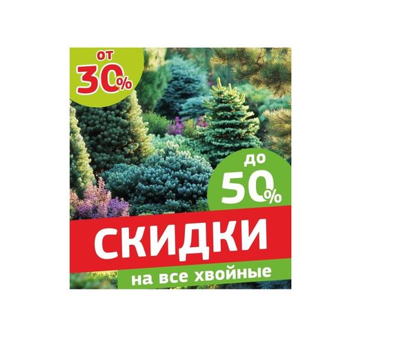 Грандиозная распродажа с 19 сентября! Грандиозная распродажа с 19 сентября!