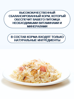 Wanpy Cat Консервы для кошек "Курица с лососем" 95 г