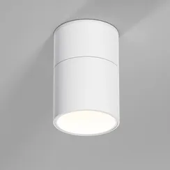 Точечный светильник Rolly 25112/LED Elektrostandard