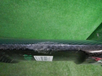 DSCN9910.JPG