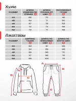 Спортивный костюм летний без начеса