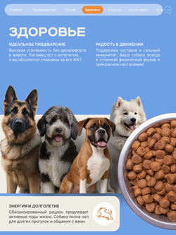 Корм сухой для взрослых собак породы Акита-ину, премиум полнорационный комплекс, с индейкой, 3 кг, QUATTRO