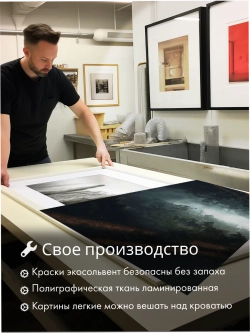 Картина Одинокий сокол над лесом модульная 50x70см 3шт.