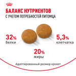 Royal Canin Siberian Adult Сибирская Эдалт Корм сухой для взрослых кошек сибирской породы от 1 года и старше 2кг
