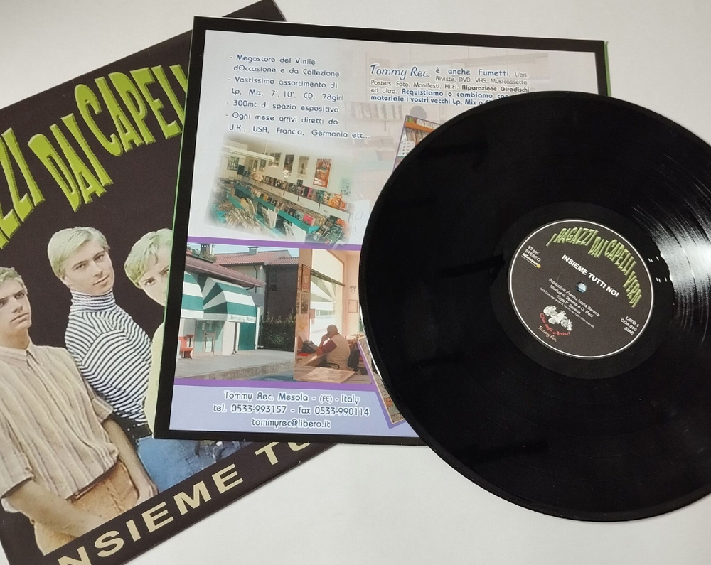 Винтажная виниловая пластинка LP I Ragazzi Dai Capelli Verdi Insieme Tutti Noi (Italy 2008)