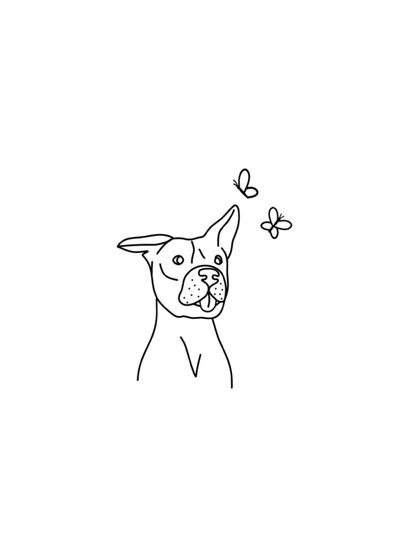 cute dog