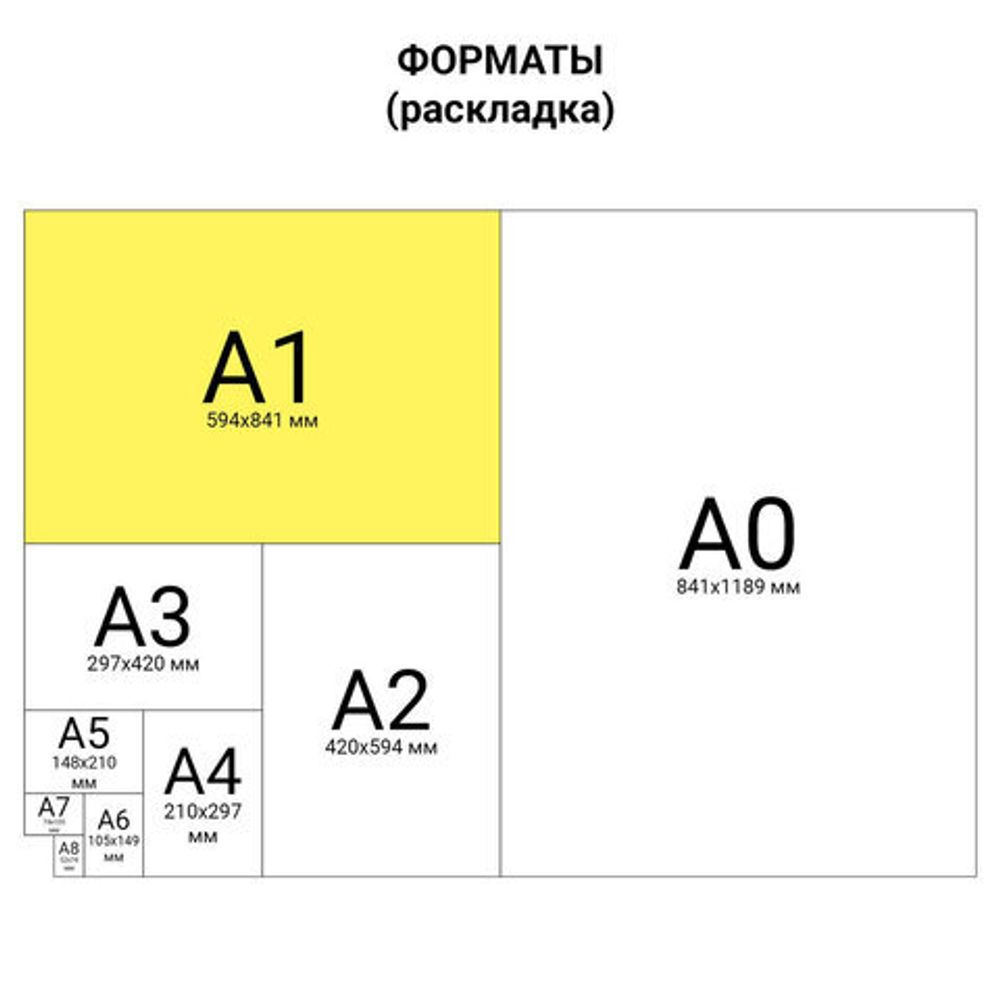 Ватман формат А1 (610 х 860 мм), 1 лист, 180 г/м2, ГОЗНАК Санкт-Петербург, водяной знак