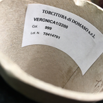 VERONICA - Torcitura Di Domaso; 50% меринос fine, 50% п/а; 220м/100гр; col. 999 чёрный; фактурная нить