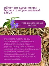 Иссоп