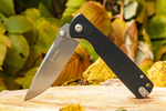 Нож складной Ganzo G6805 сталь 8CR14 -