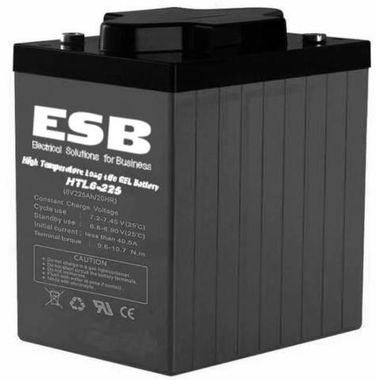 Аккумулятор ESB HTL6-225 ( 6V 225Ah / 6В 225Ач ) - фотография