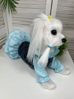 Платье для собак и кошек