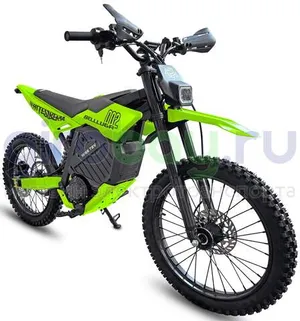 Электромотоцикл Эндуро WHITE SIBERIA BELLLUGA 02 6000W (72V/27Ah) - Зелёный фото №1