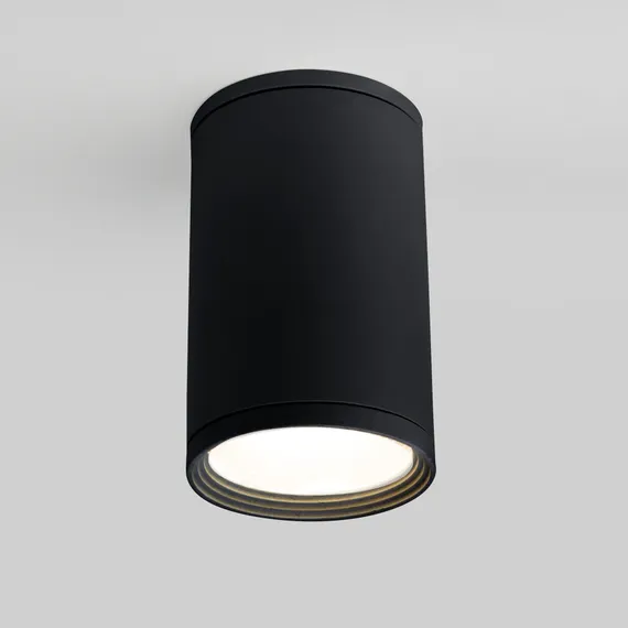 Потолочный светильник уличный Light 35128/H черный Elektrostandard