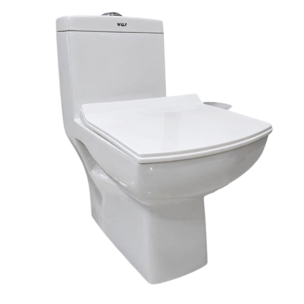 Унитаз моноблок безободковый 114 Falcon P Trap
