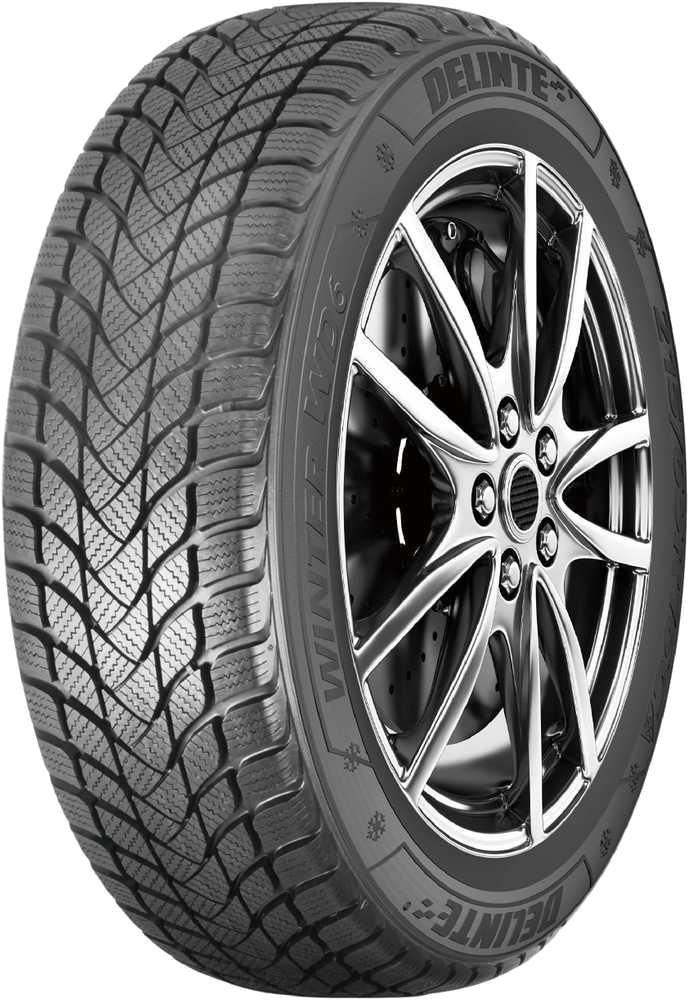 Delinte Winter WD6 225/55 R19 99H