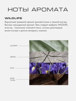 Бальзам для волос ДИКАЯ ПРИРОДА (WILDLIFE)