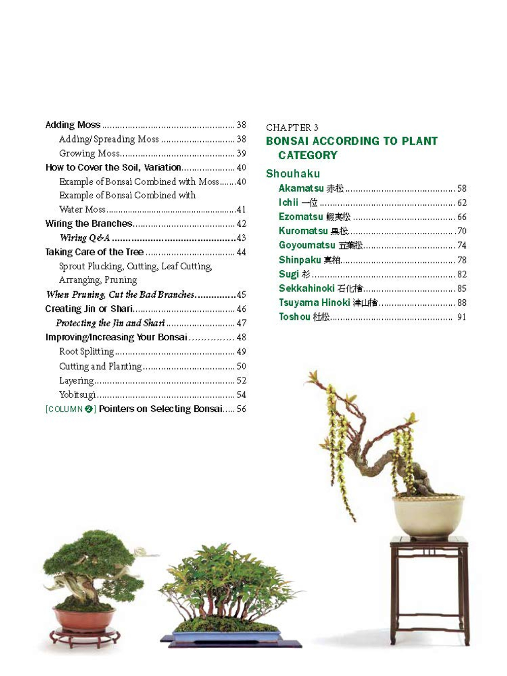 The Ultimate Bonsai Handbook: The Complete Guide for Beginners