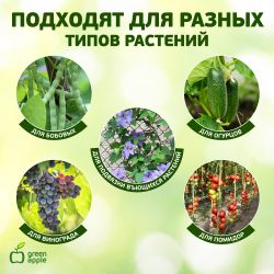 GPCR-2 GREEN APPLE Кольцо фиксатор цепочка | GREEN APPLE