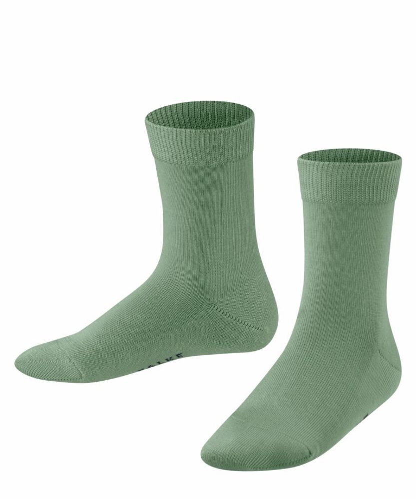 Носки Family FALKE 12998/7016