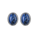 Серьги Possebon Sodalit A0321.23 S