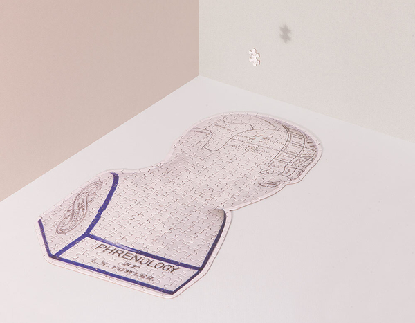 Пазл Doiy Phrenology