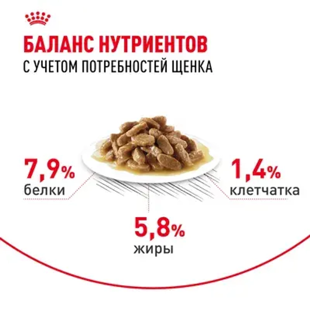 ROYAL CANIN Mini Puppy Корм консервированный для щенков мелких пород в возрасте до 10 месяцев, кусочки в соусе, 85 г